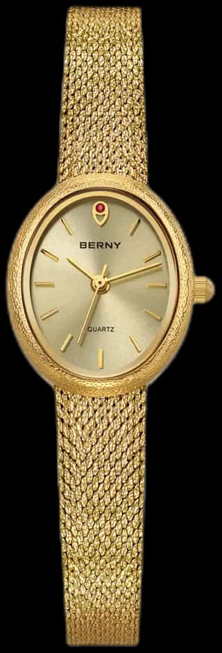 BERNY BERNY-Women Quartz Dress Gold Watch-2967L