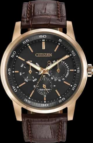 Citizen Corso