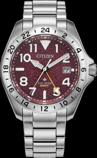 Citizen Promaster Land GMT