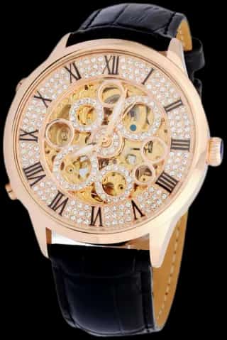 Grandeur Watches Automatic Series G15016