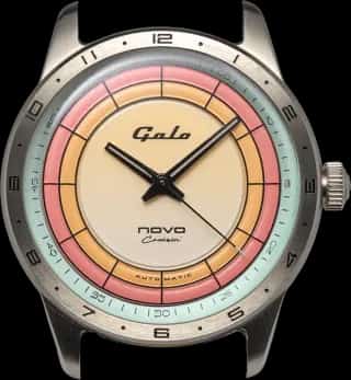 Galo Novo Cruisin
