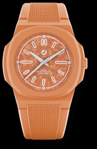 Nuncier Coral Ace Summer Edition