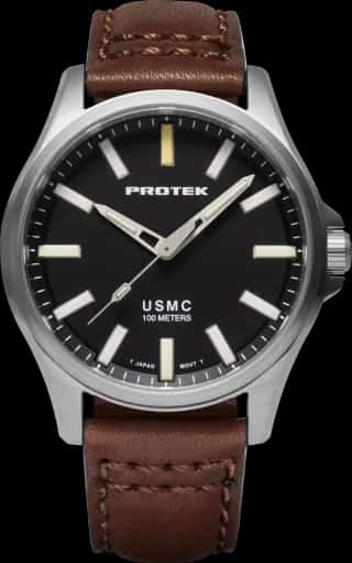 ProTek Watches Model PT3101