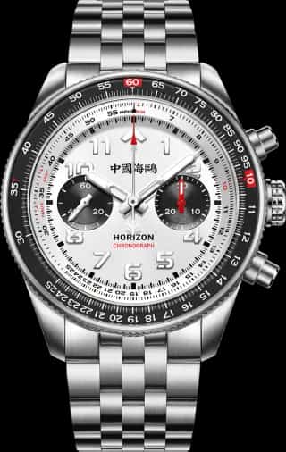 Seagull Aviation Series Tachymeter Chronograph Titanium Alloy Watch 43mm