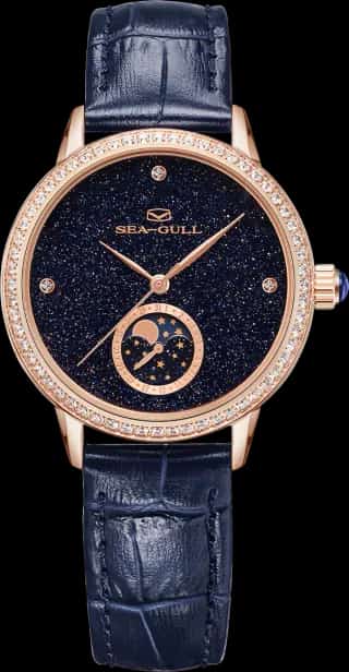 Seagull Moon Phase Mother-of-pearl Starry Sky Dial Diamond-set Case Lady's Watch 34mm