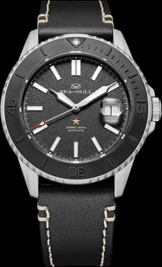 Seagull Ocean Series Pro 300m Waterproof Sandblasted Dial 3D Titanium Ceramic Bezel Diving Watch 43.5mm