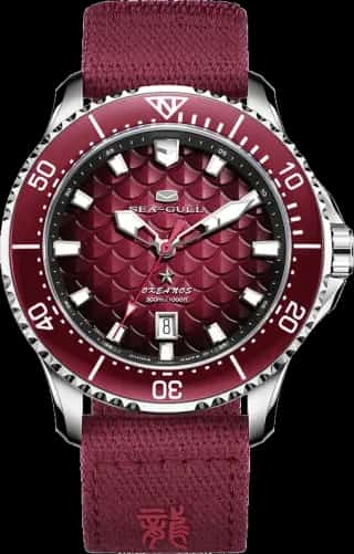 Seagull Ocean Series Pro "Dragon Kings of the Four Seas" Dragon-scale Dial 300m Waterproof Diving Watch 44mm