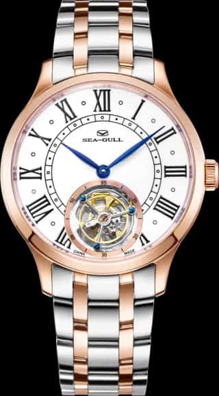 Seagull Artisan Heritage Series Roman Numeral Markers Coaxial Tourbillon 42mm