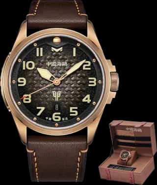 Seagull Rabbit Year Bronze Case Chinese-inspired Dial Limited Edition Watch 43mm