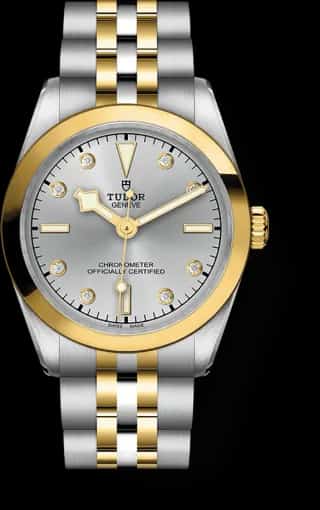 Tudor Black Bay One 31 S&G