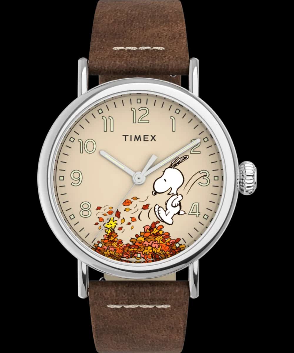 Timex Peanuts x Timex Standard Featuring Snoopy Autumn - TW2U86200