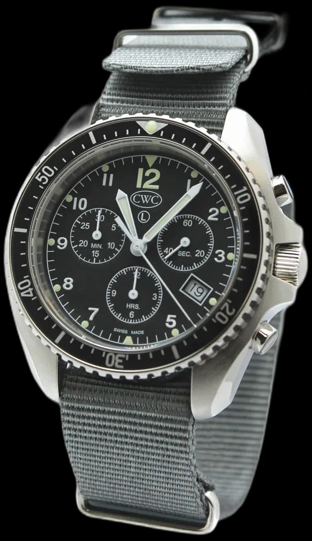 Cabot Sea Falcon Watch