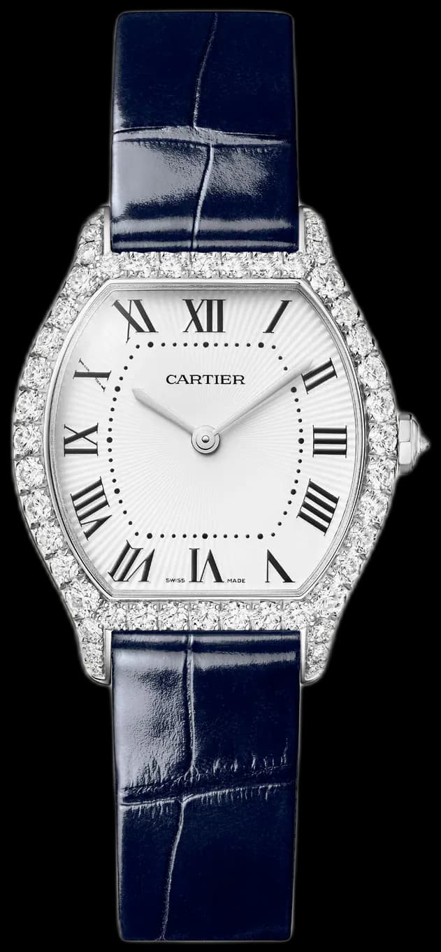 Tortue Small Model White Gold