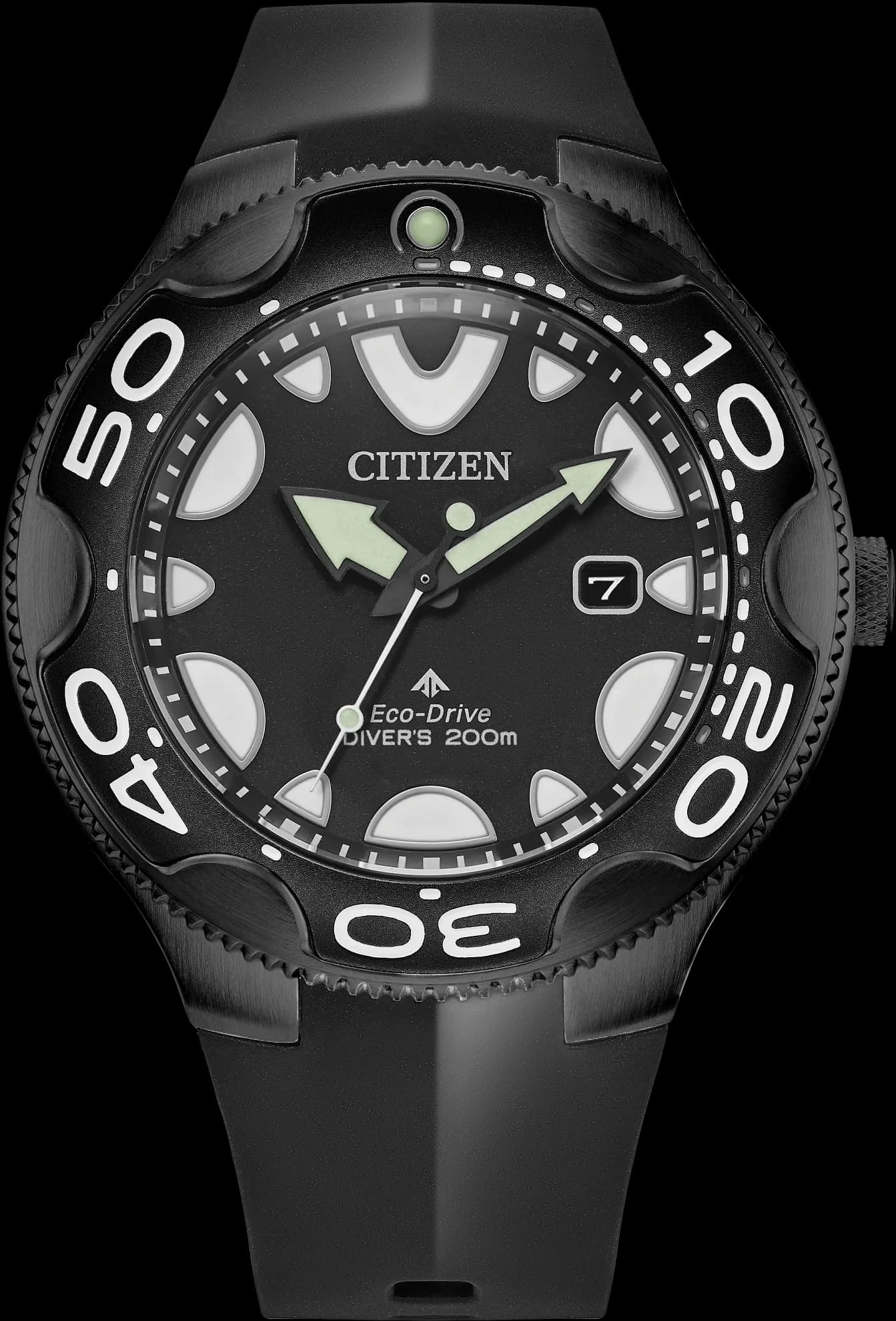 Promaster Diver