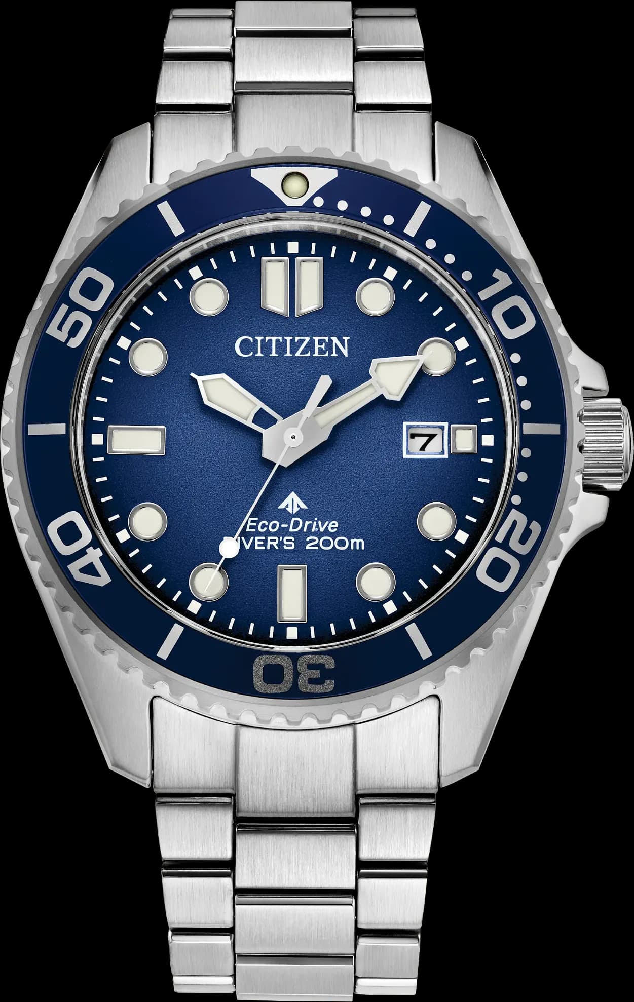 Promaster Diver