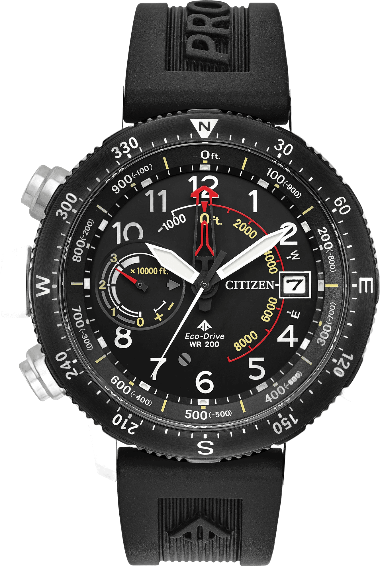 Promaster Diver