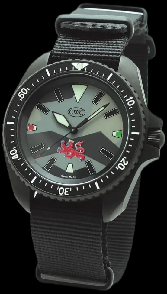 Tamar Quartz Divers Watch