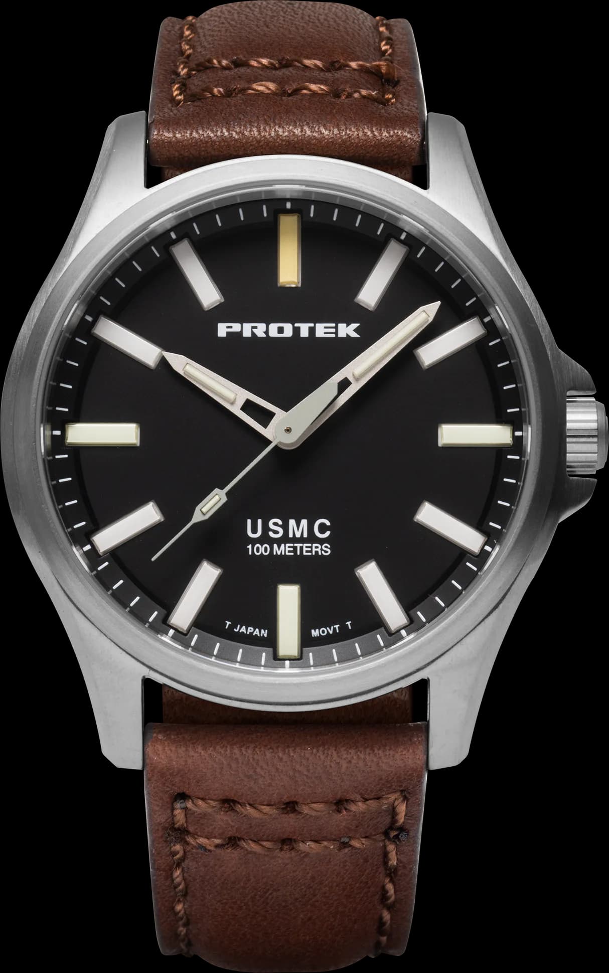 Model PT3101
