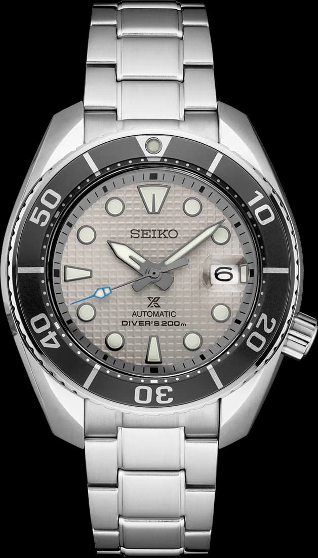 Ice Diver