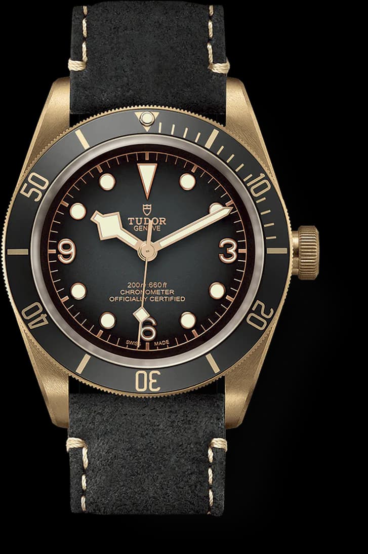 Black Bay Bronze