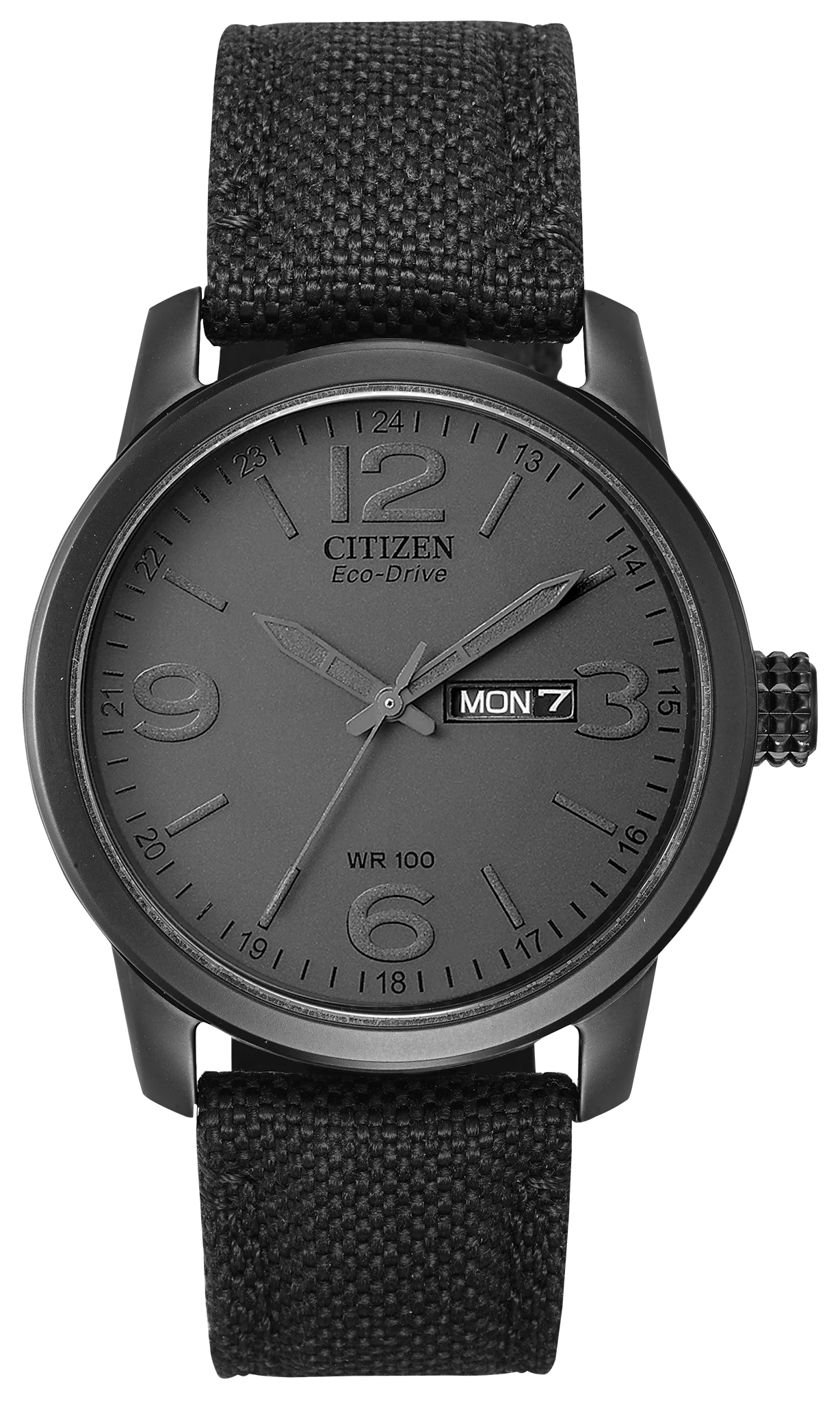 Citizen Garrison