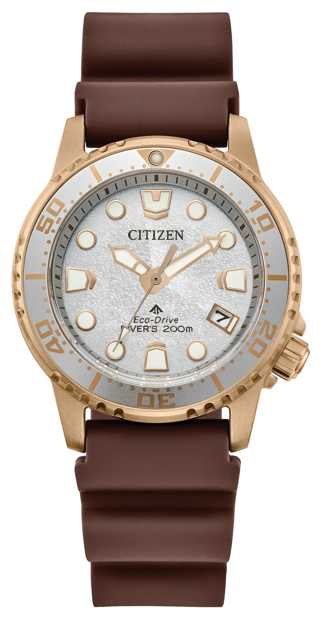Citizen Promaster Diver