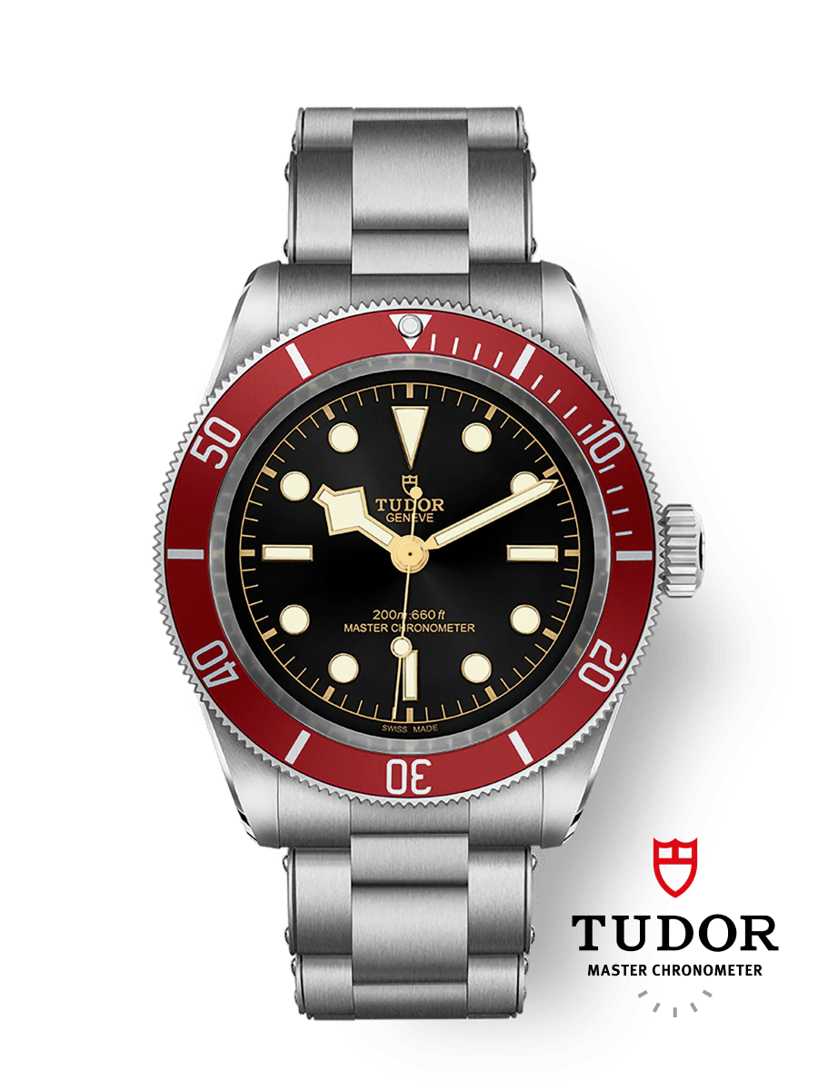 Tudor Black Bay