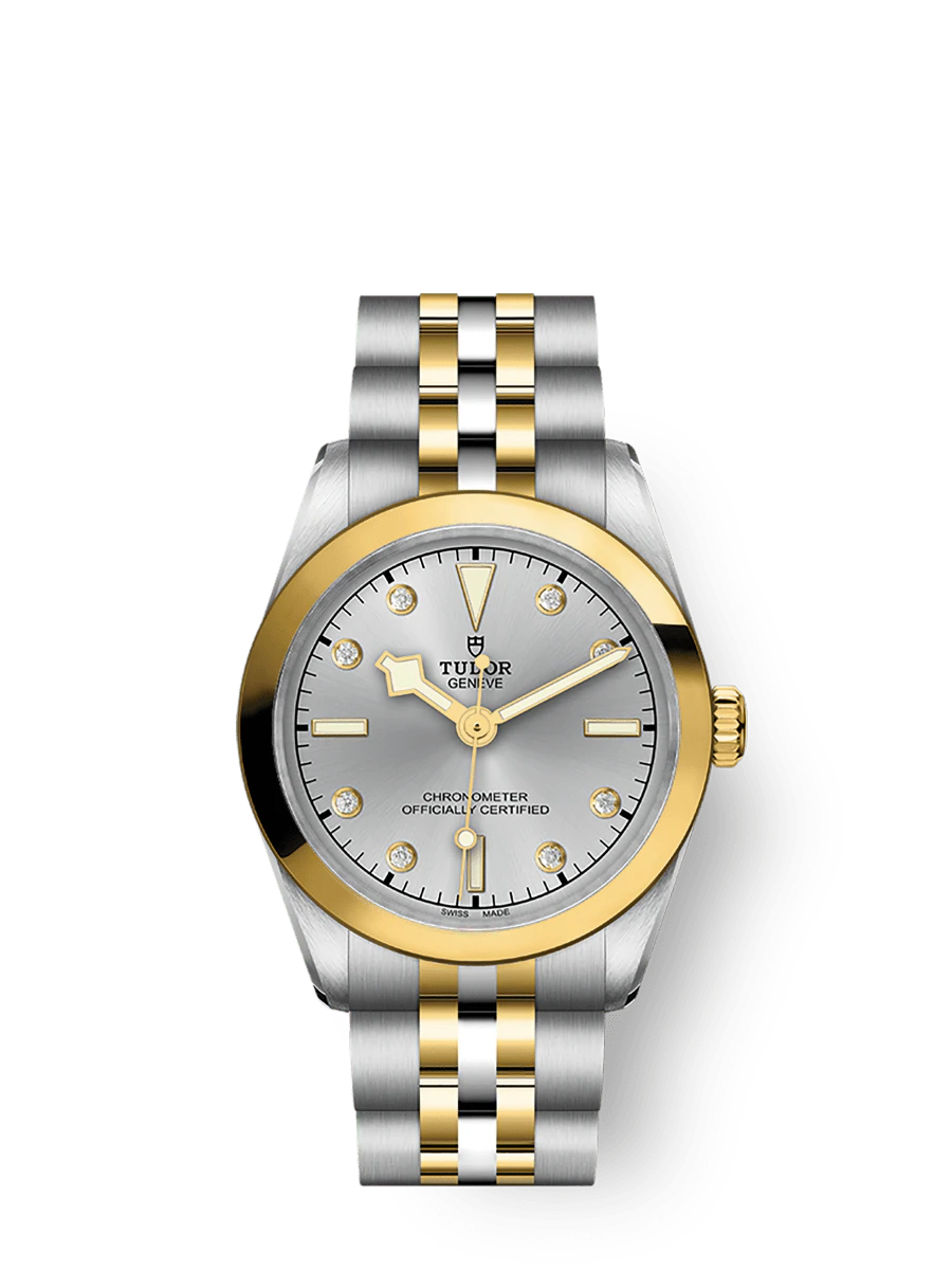 Tudor Black Bay One 31 S&G