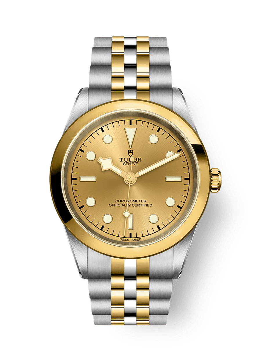 Tudor Black Bay One 41 S&G